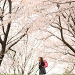 4月ロケ撮影しませんか🌸